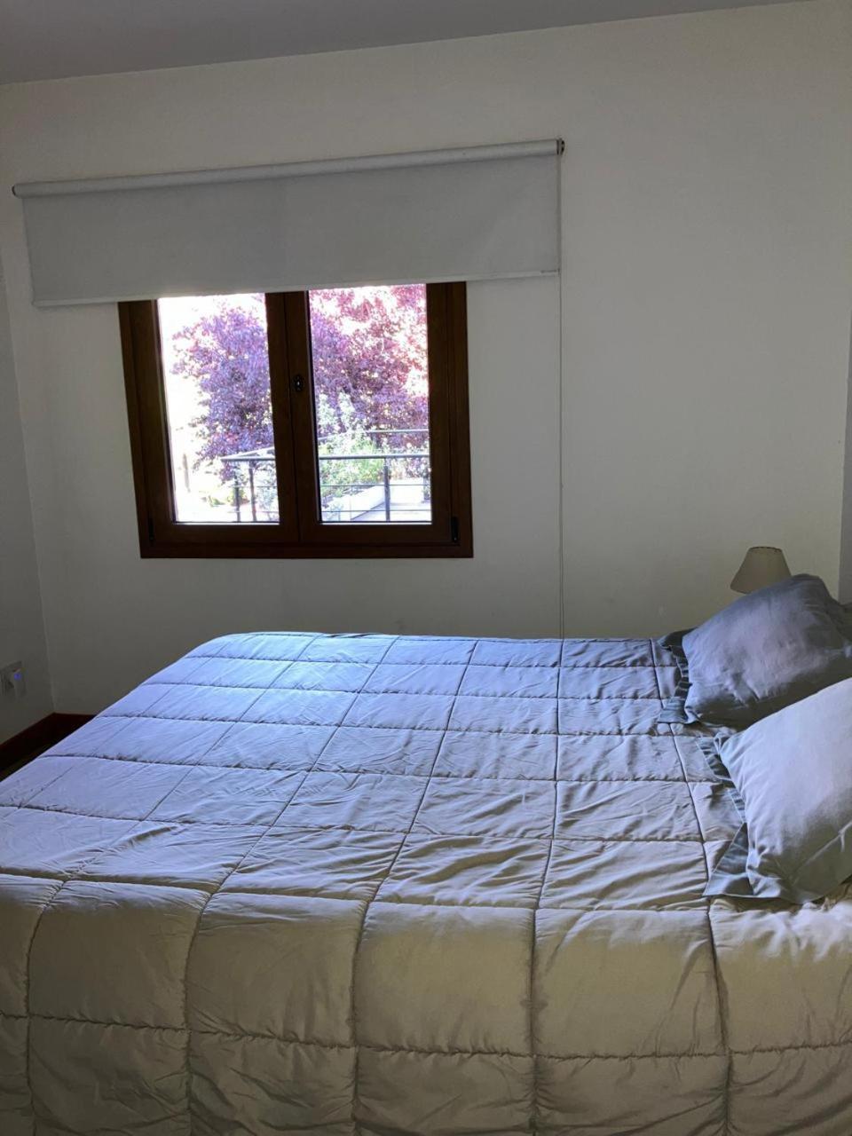 Comodo Departamento Centrico En San Martín de los Andes Exteriér fotografie